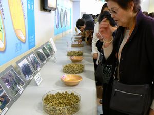 ホップの匂いを嗅ぎました