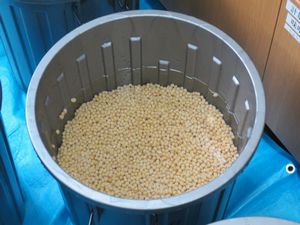 前日午後4時から水につけています
